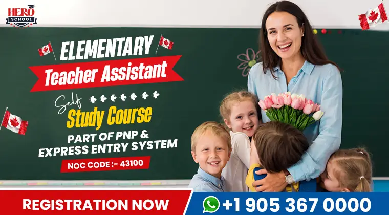 Elementary Teacher Assistant