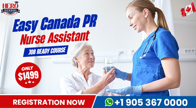 Essential Skills for Nurse Assistants