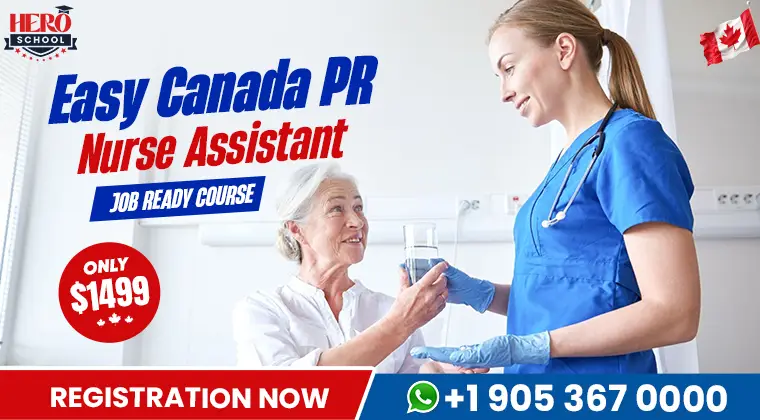 Essential Skills for Nurse Assistants