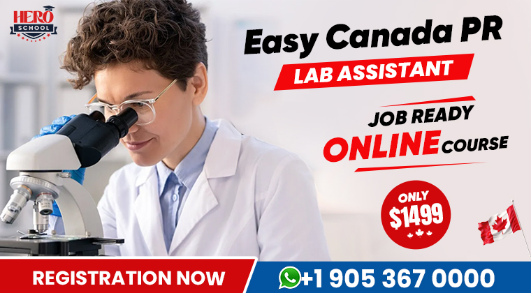 Medical Laboratory Assistant