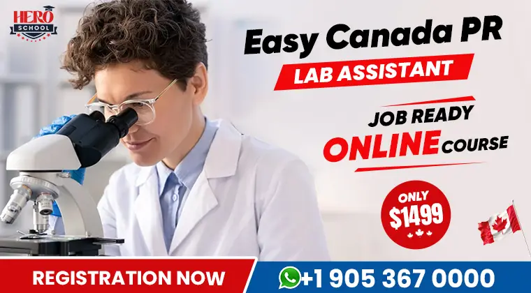 Medical Laboratory Assistant